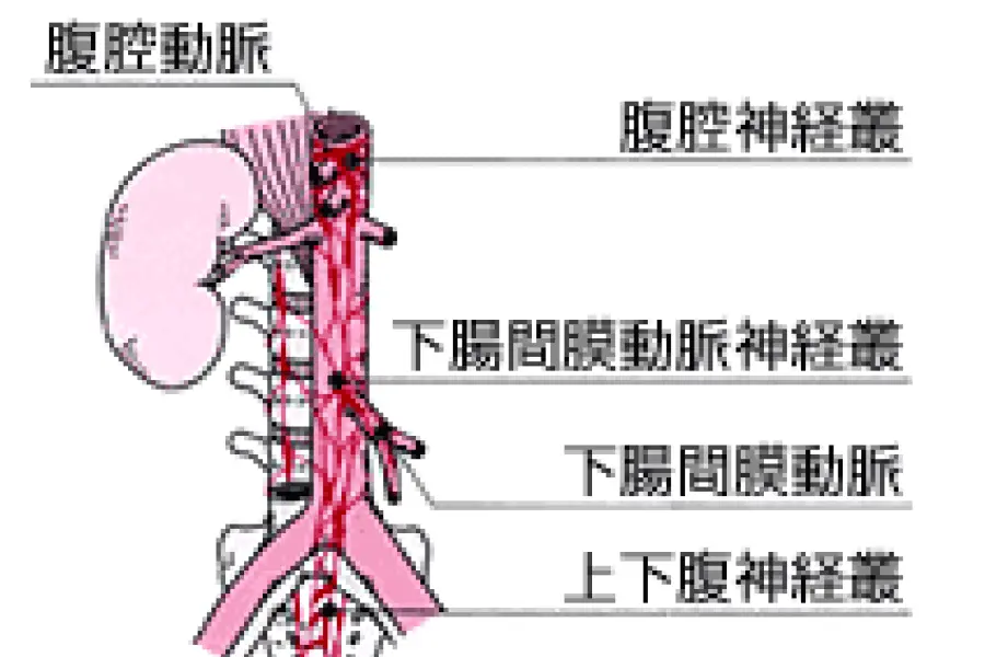 腹腔神経叢照射例