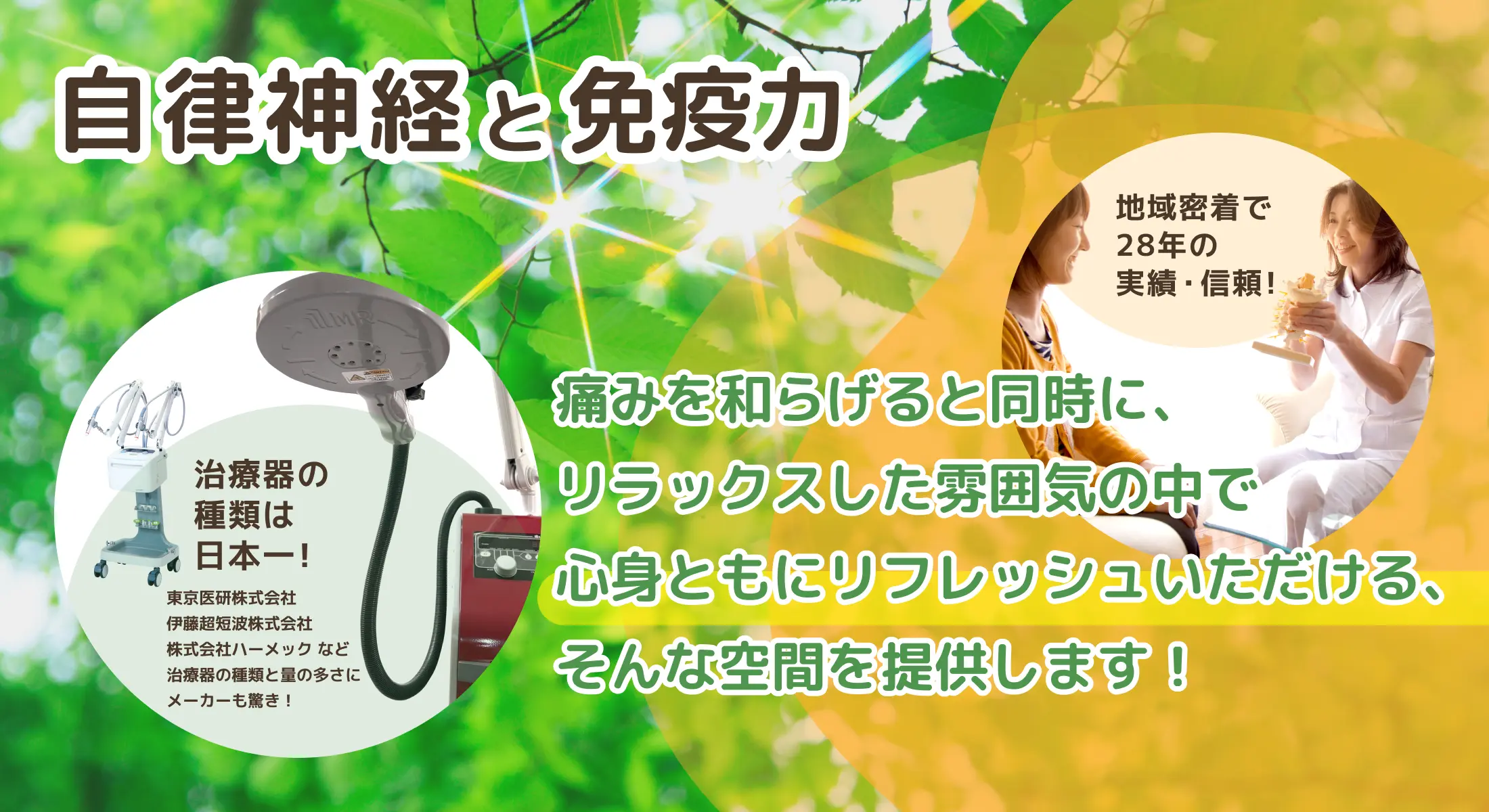 自律神経と免疫力 痛みを和らげると同時に、リラックスした雰囲気の中で心身ともにリフレッシュいただける、そんな空間を提供します！